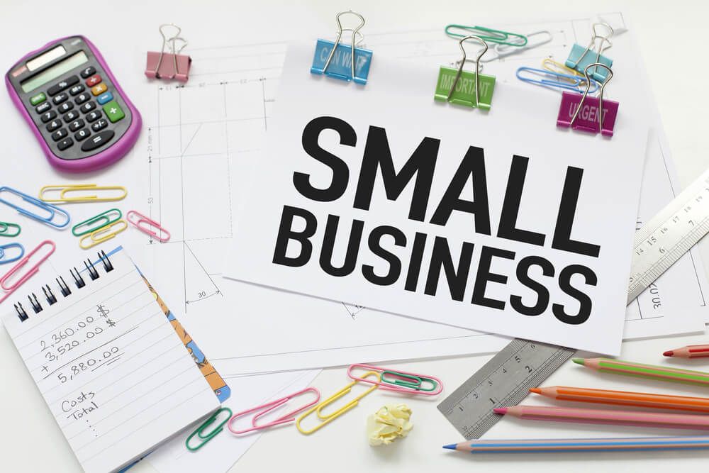 Small Business: Described in Terms of Types of Small Businesses