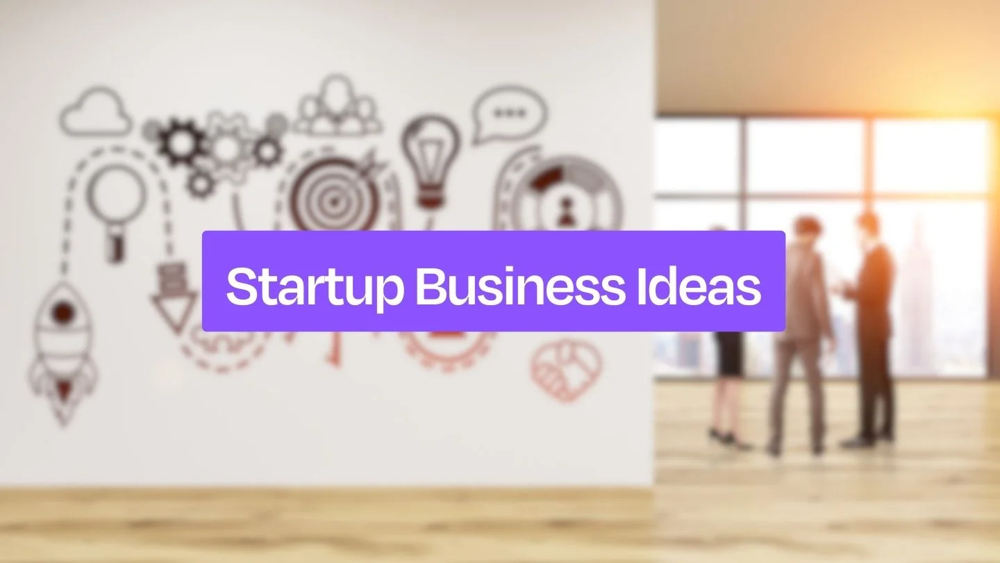 Startups Business Ideas in USA: 2024